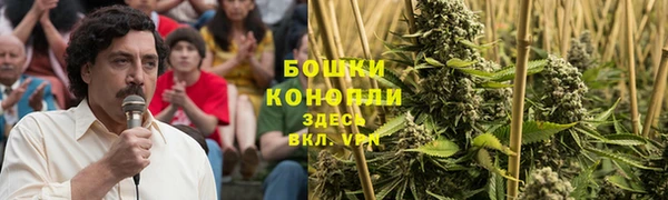 ПСИЛОЦИБИНОВЫЕ ГРИБЫ Семилуки