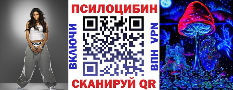 kraken tor  Вольск  Псилоцибиновые грибы Cubensis  где можно купить  